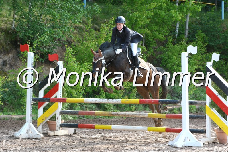 104M7476_Lancelot_Spring A.JPG